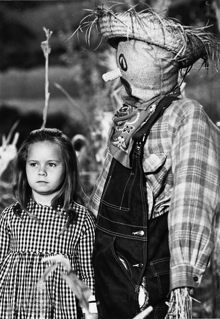 Victoria Paige Meyerink