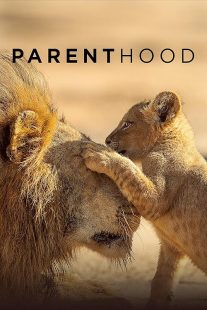  سریال Parenthood