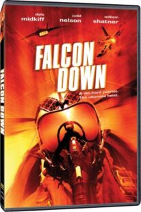 فیلم Falcon Down 2001