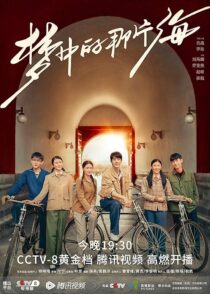 سریال The Youth Memories